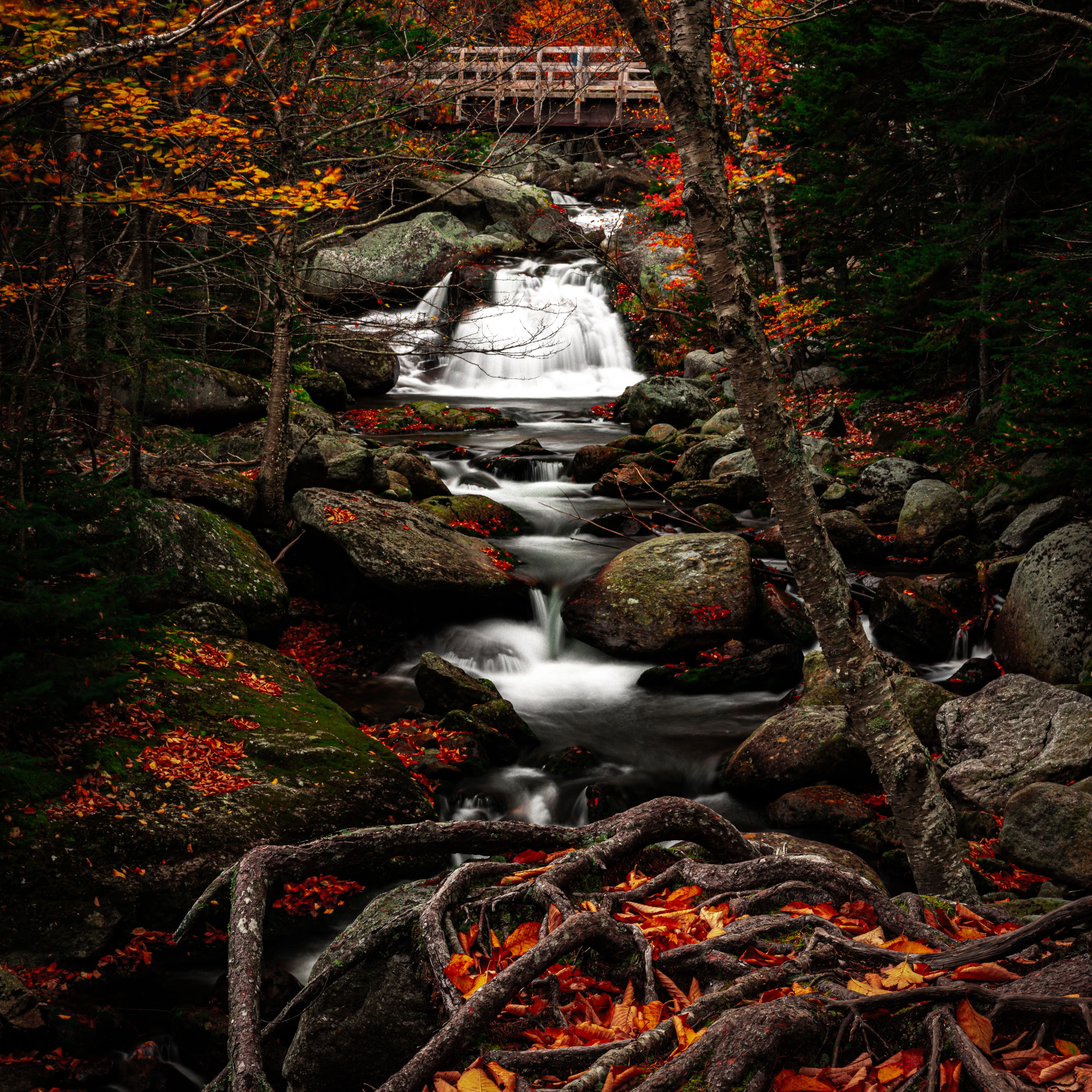Best Waterfall Hikes in Vermont
