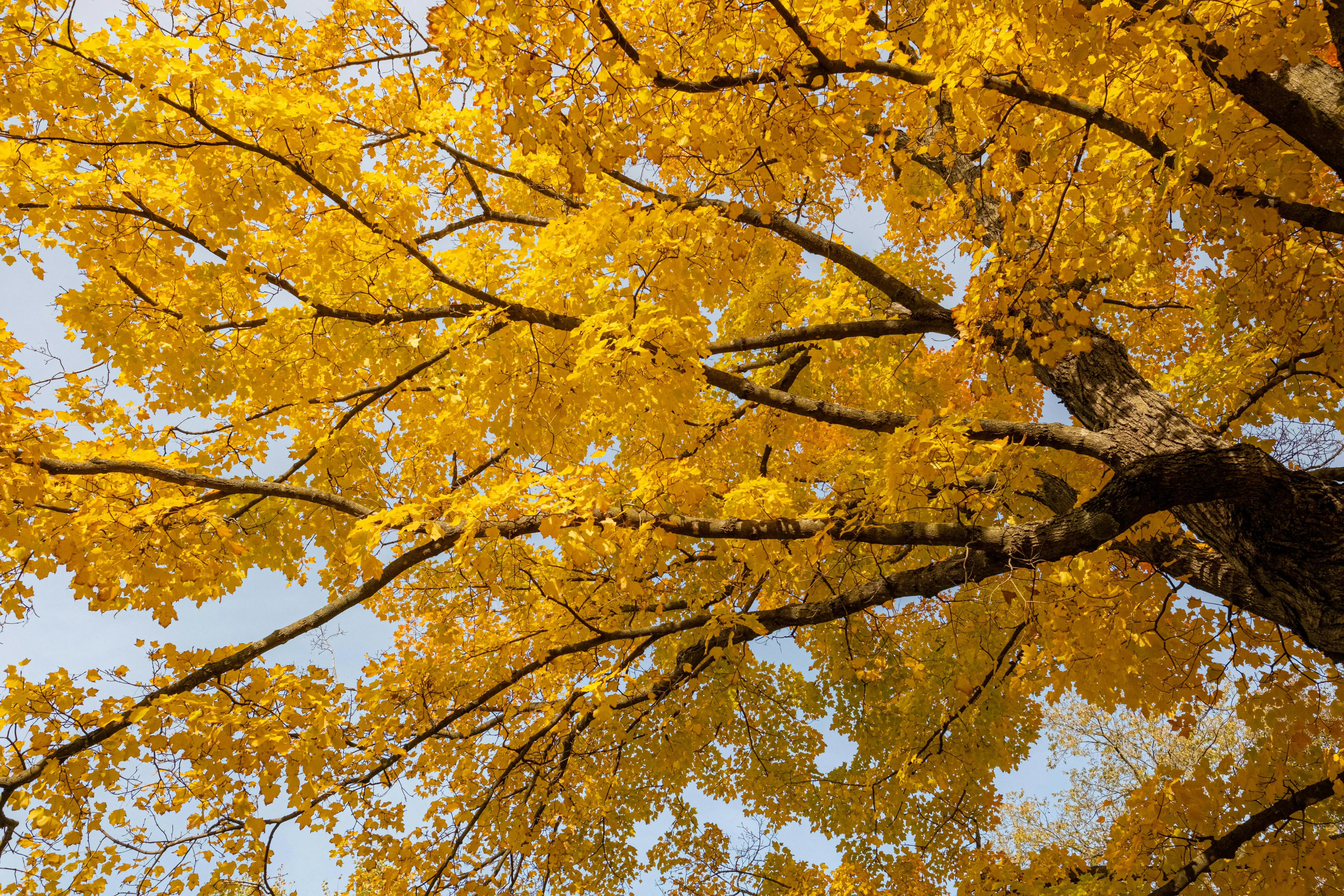 Best Fall Foliage Hikes in Rhode Island