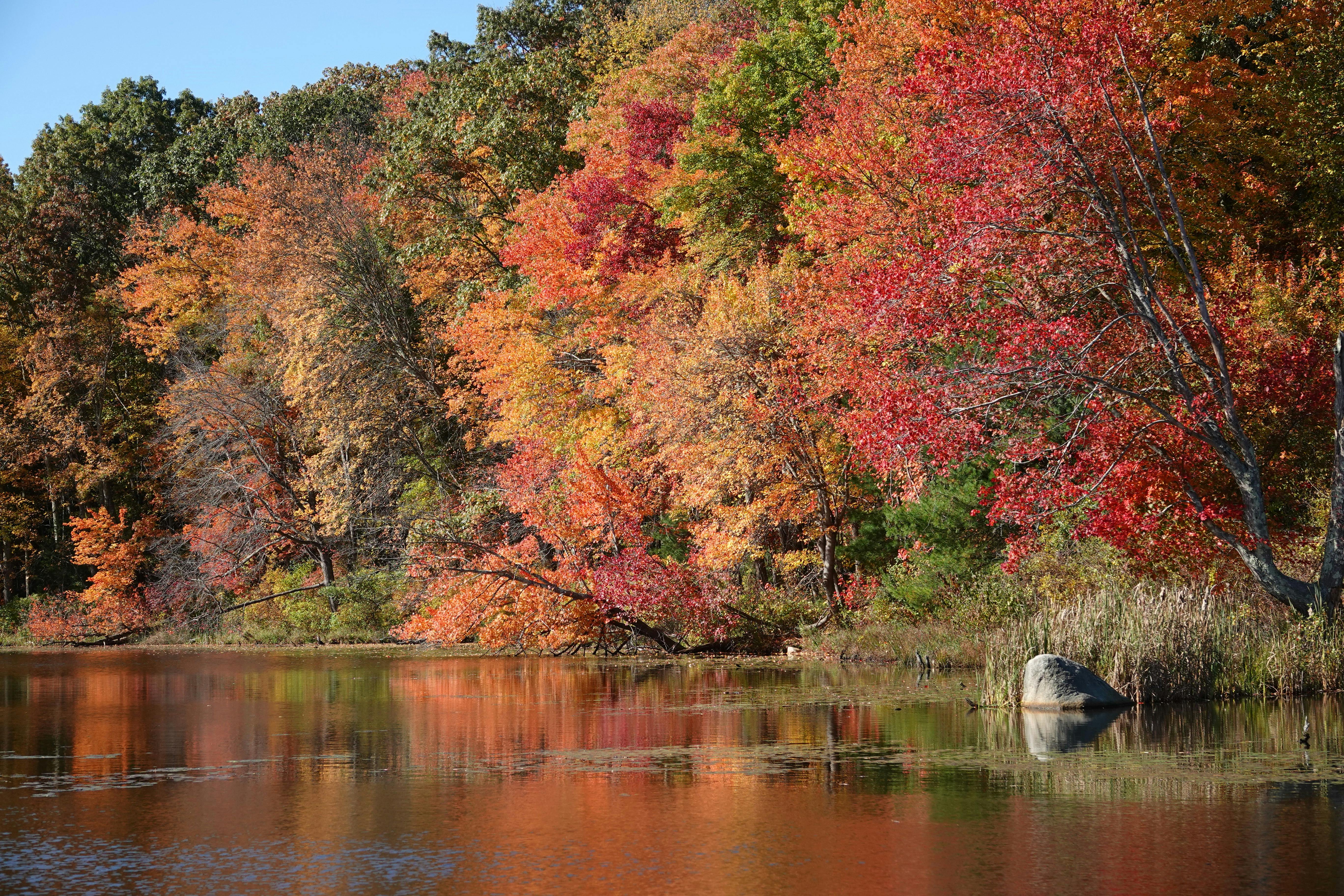 Best Fall Foliage Hikes in Connecticut