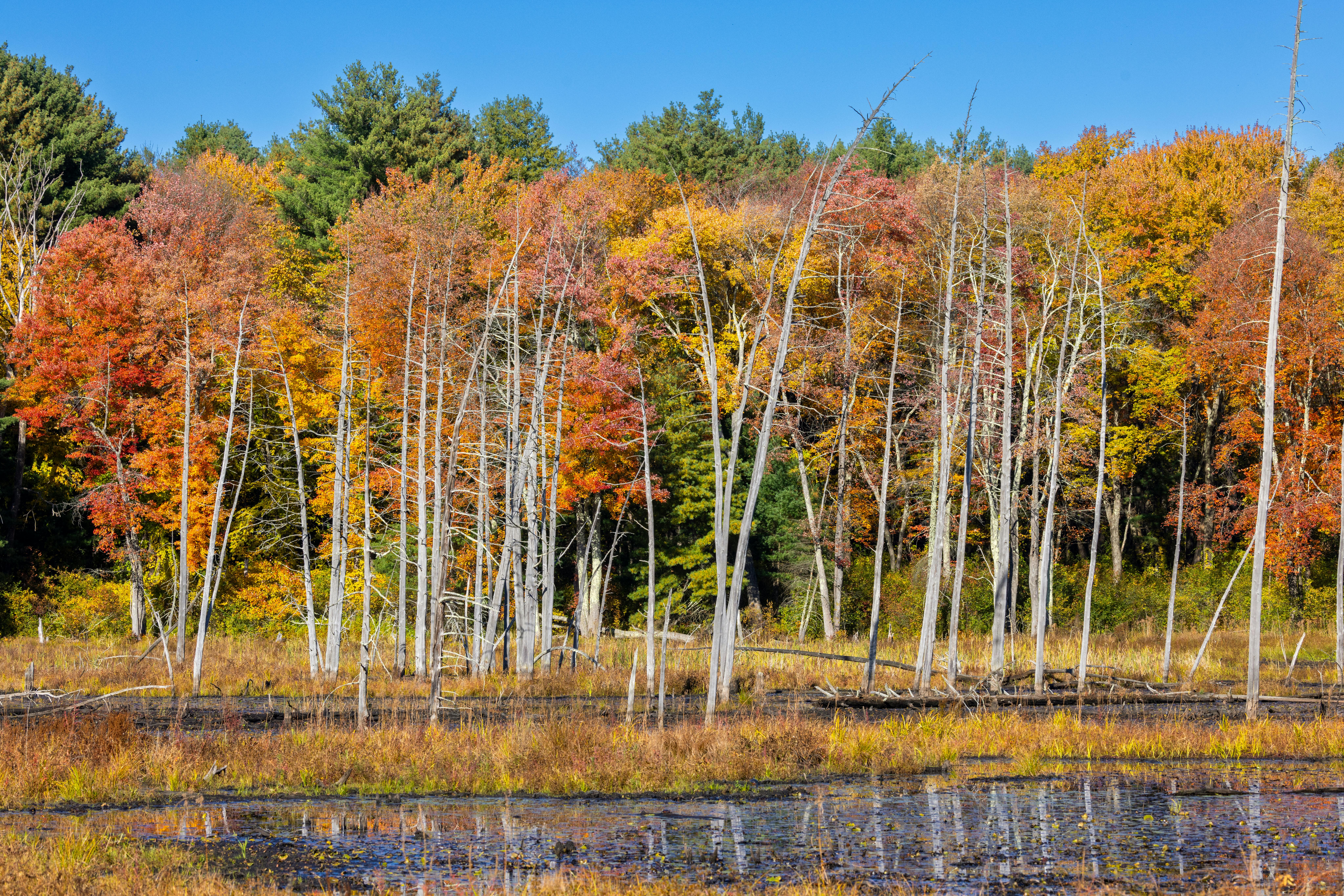 Best Fall Foliage Hikes in Massachusetts