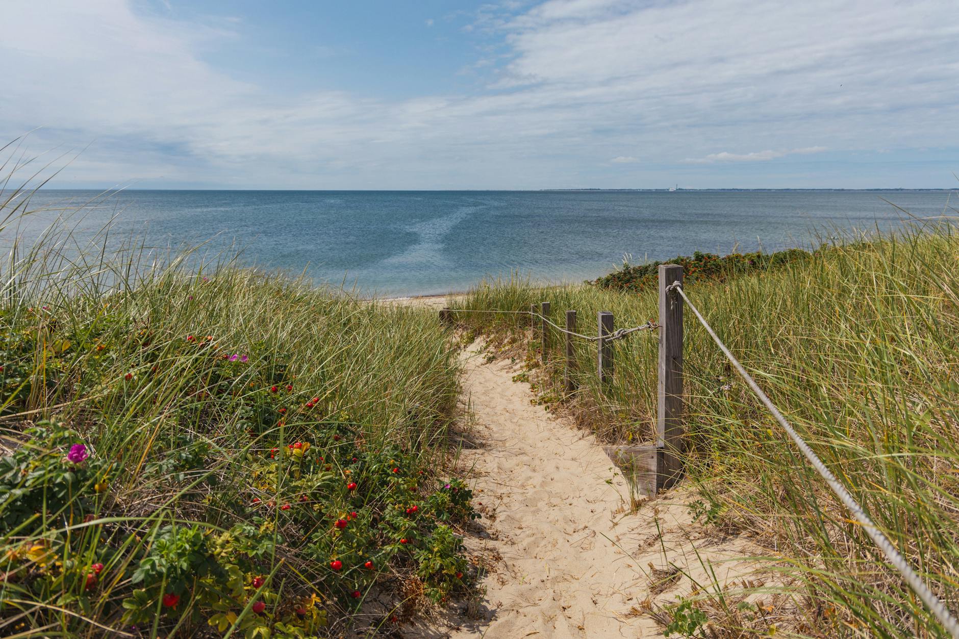 Best Coastal Hikes in Massachusetts