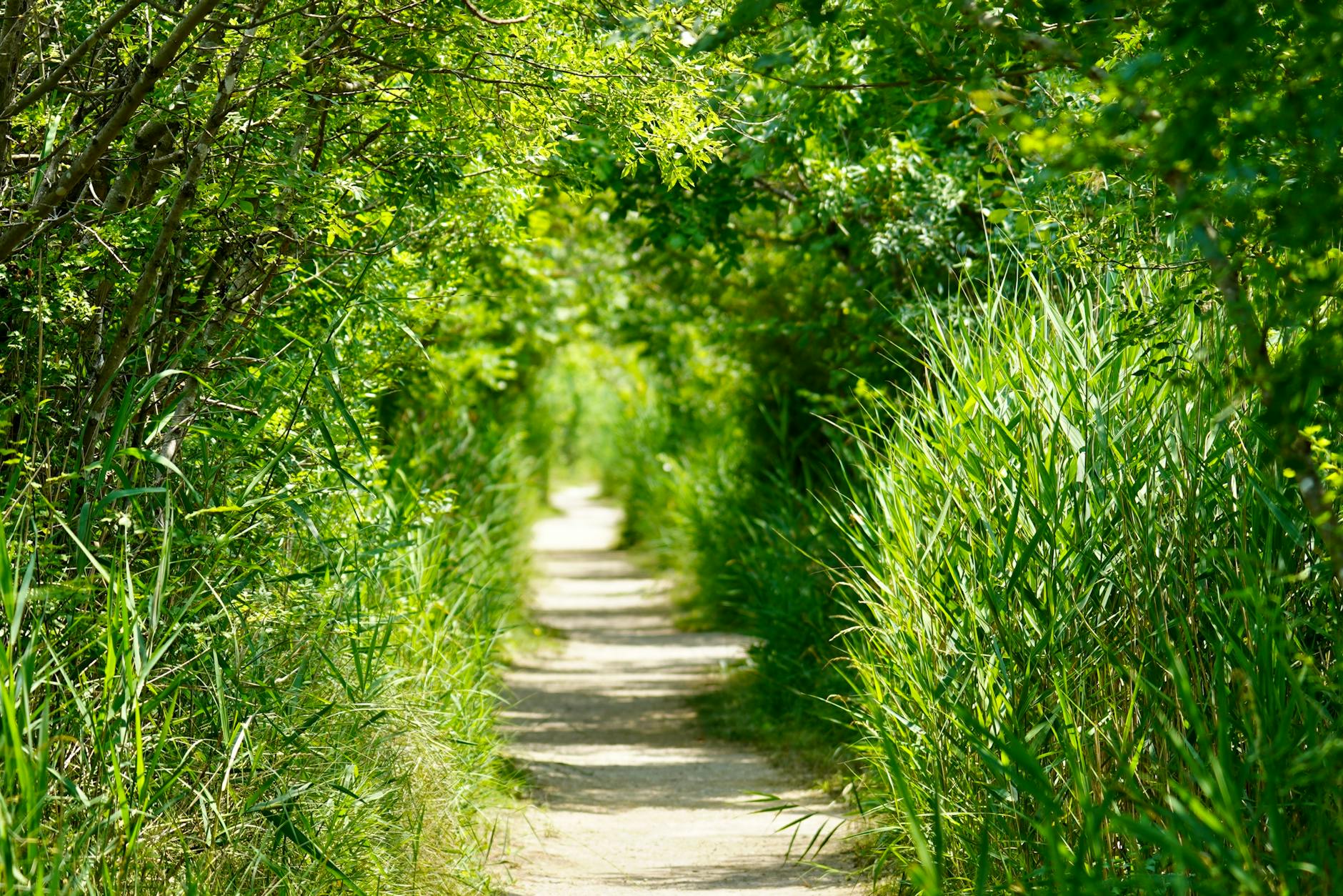 The 20 Best Hikes In Rhode Island